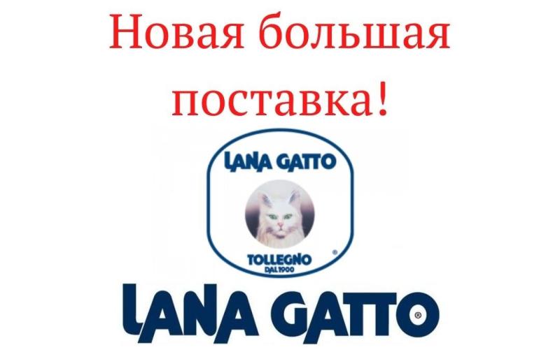 Новая поставка Lana Gatto! Новая поставка Lana Gatto!