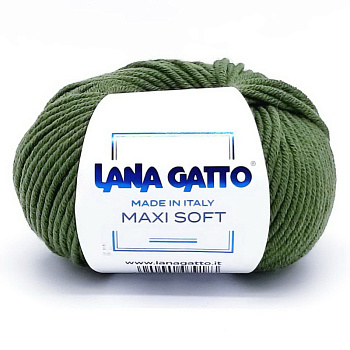 maxi soft обл